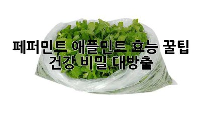 🌿 페퍼민트 애플민트 효능 꿀팁! 건강 비밀 대방출 🍏